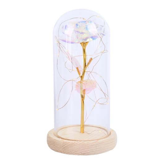 Preserved Flower Glass Dome detail 9